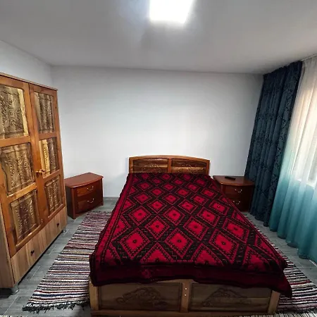 Holiday home Casa Camelia Nehoiu